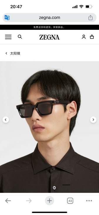 Picture of Zegna Sunglasses _SKUfw69867898fw